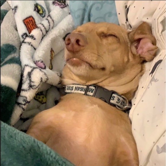 Share for share...⬇️⬇️⬇️⬇️. PLEASE read below. - Picture 6 of 16